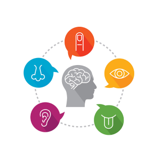 Holistic Autism Support